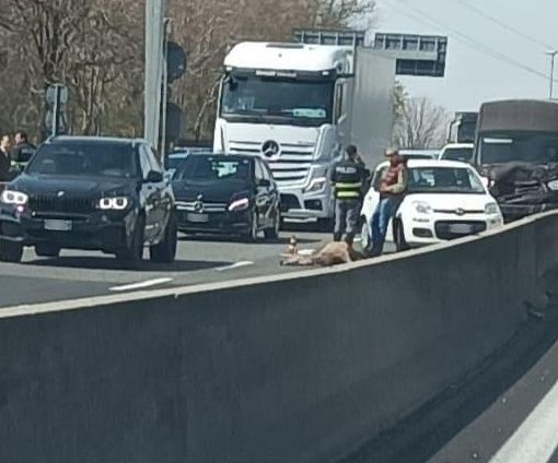 Foto dal gruppo Facebook &quot;Sei di Samarate se...&quot;