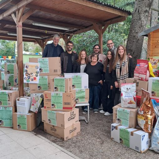 La consegna di cibo e prodotti per l'igiene al canile di Busto: raccolti ben oltre tre quintali