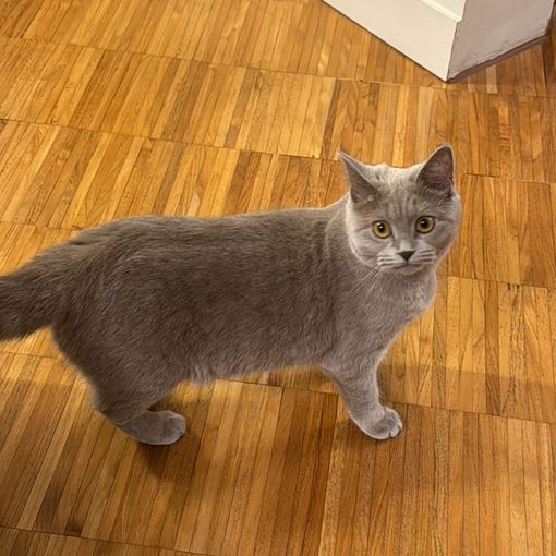 Ginny è stata ritrovata