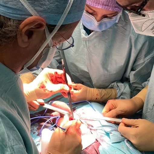 L'Urologia varesina centro di riferimento nazionale per la formazione degli specializzandi