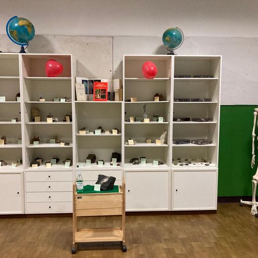 700 minerali a scuola: Castellanza inaugura l'aula-museo “Gianfelice Storni”