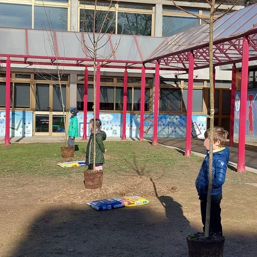 Marnate celebra la Giornata internazionale dei Diritti dell’Infanzia alle scuole Gabelli