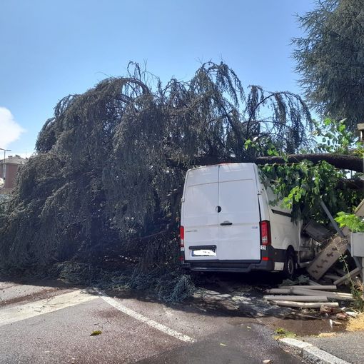 FOTO. Tempesta su Gallarate: sottopassi allagati e alberi a terra