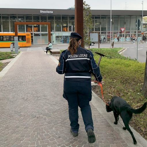 La Polizia locale con Zorro - foto d'archivio