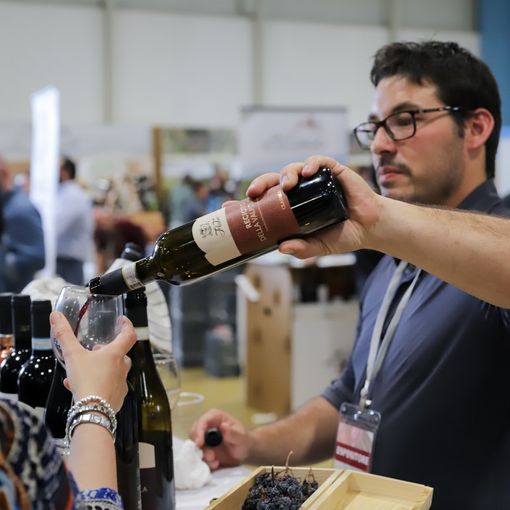 FOTO. “Divino, il mercato dei vini” cattura MalpensaFiere