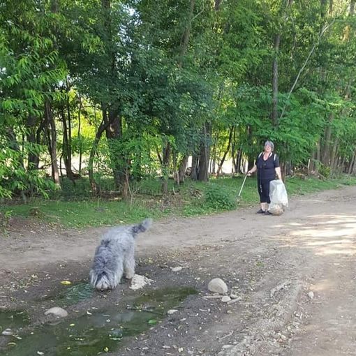 Il maltempo rinvia “Puliamo il Mondo” al Parco Alto Milanese
