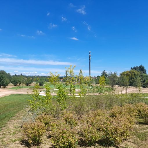 Parco di città a Cassano Magnago: bellissimo. Però…