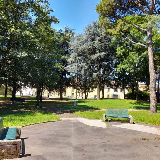 Il parco Avis Aido sarà vetrina per la nuova edizione di &quot;Young revolution&quot;