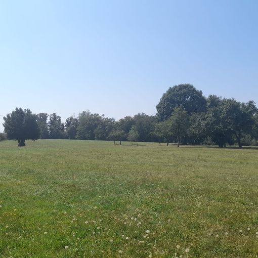 Il parco della Magana diventerà vetrina per lo sport a Cassano