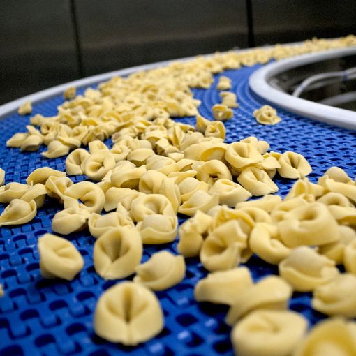 Lo Scoiattolo, un manifesto di sostenibilità e attenzione ai dipendenti: «Ecco un bilancio fatto di umanità, qualità e innovazione»