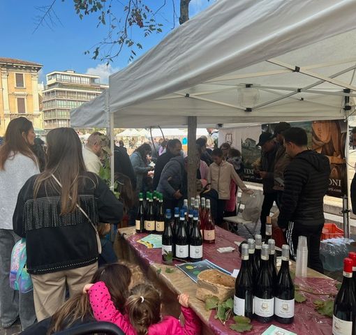 FOTO - Festa dell’uva, festa del gusto: successo a Gallarate