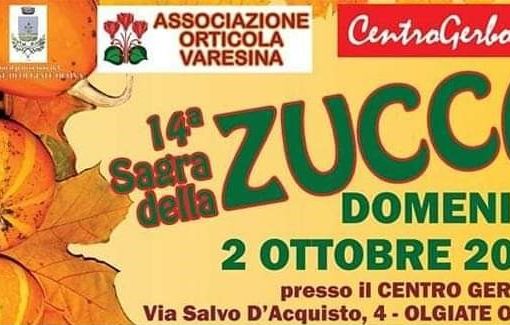 Olgiate Olona: tempo di Sagra della zucca