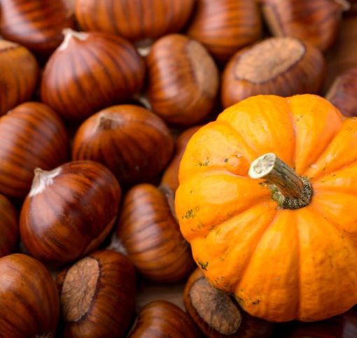 Spadroneggiano zucca, castagne e musica. Gli APPUNTAMENTI DEL WEEKEND a Busto e in Valle Olona