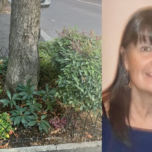 LA STORIA. Quell'aiuola speciale che ricorda Lauretta e invita a prendersi cura del proprio rione