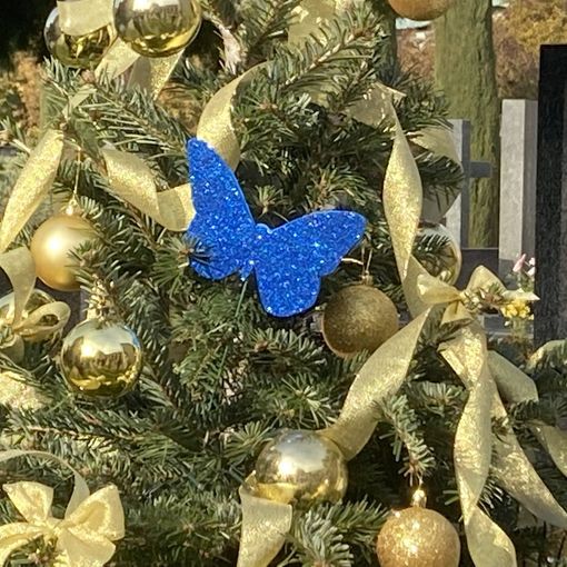 L'albero della Casa di Chiara tra i piccoli angeli con la farfalla