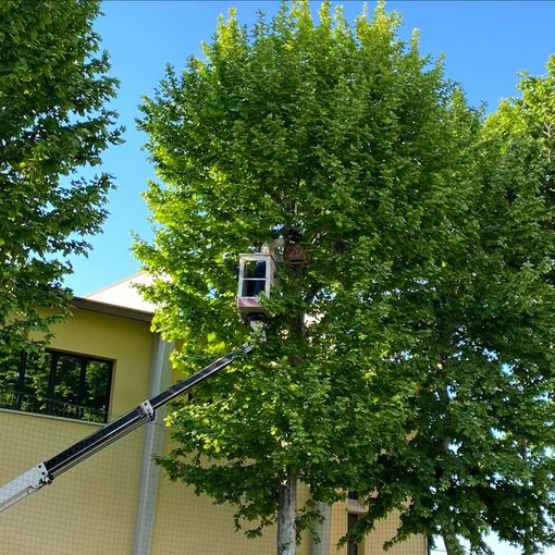 Si ringrazia Simone Orsi per la foto