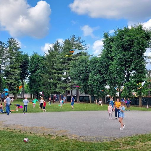Un tripudio di aquiloni al parco Carducci di Olgiate