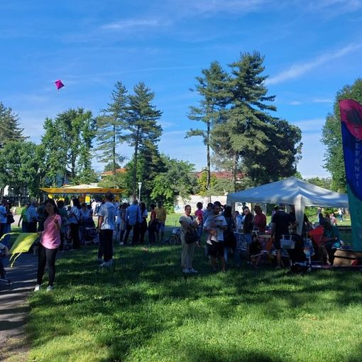 FOTO. Il cielo si &quot;colora&quot; di aquiloni a Olgiate. Tra tanta felicità e una lezione importante