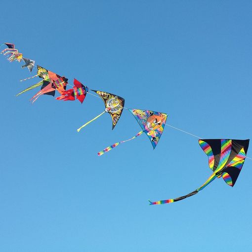 Una pioggia di eventi nel weekend: Busto e Valle, scatenatevi
