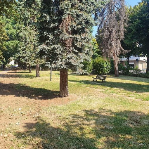 Busto: l'area verde vicino al tribunale intitolata alla Guardia di Finanza