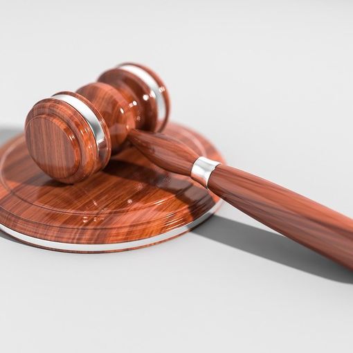 A Busto un’asta benefica per i ragazzi autistici