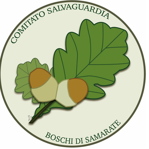 Contro la “Bretella” si è costituito il Comitato per la salvaguardia dei Boschi di Samarate