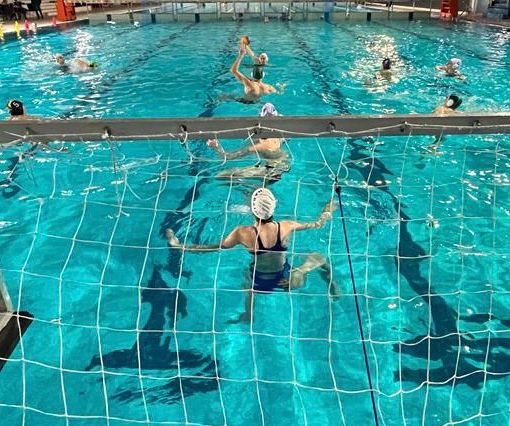 Le ragazze della Busto Pallanuoto Paglini Store pronte a sfidare Imperia