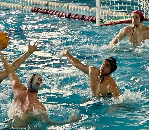 Busto Pallanuoto Paglini Store: si parte con la marcia giusta