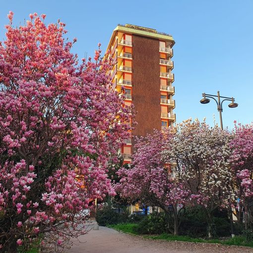 Busto, primavera in anticipo davanti alle Poste