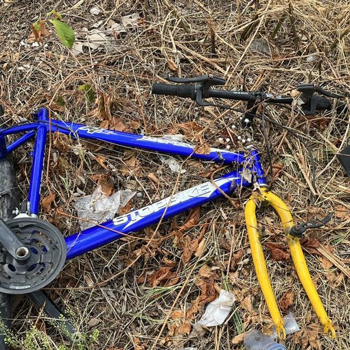 La discarica all'ombra della villa