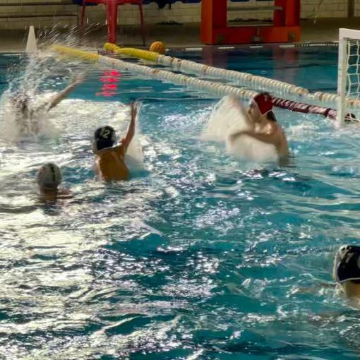 Busto Pallanuoto Paglini Store: «A Milano sulle ali dell'entusiasmo»