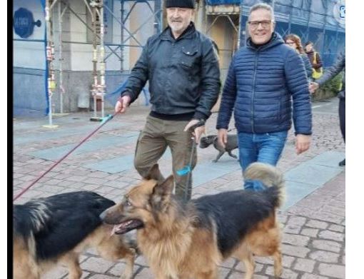 VIDEO. La camminata cresce e diventa un “Pomeriggio a sei zampe” in centro a Busto