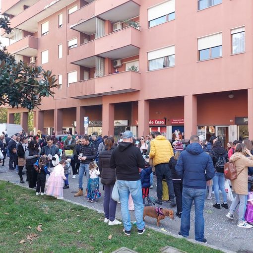 FOTO. Il Carnevale torna a colorare le strade di Castellanza