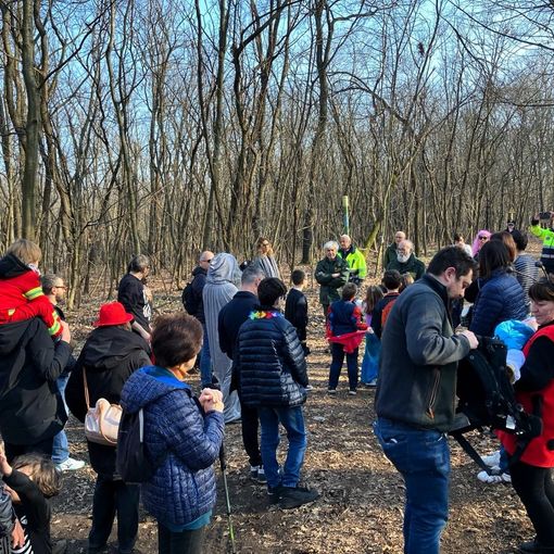 FOTO. A Marnate il Carnevale si festeggia nei boschi