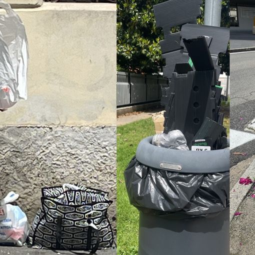 FOTO. Cestini invasi dai rifiuti: ci siamo arresi agli incivili?