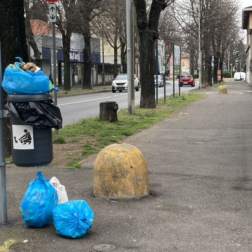 Un cestino in viale Virgilio, ripetutamente nel mirino
