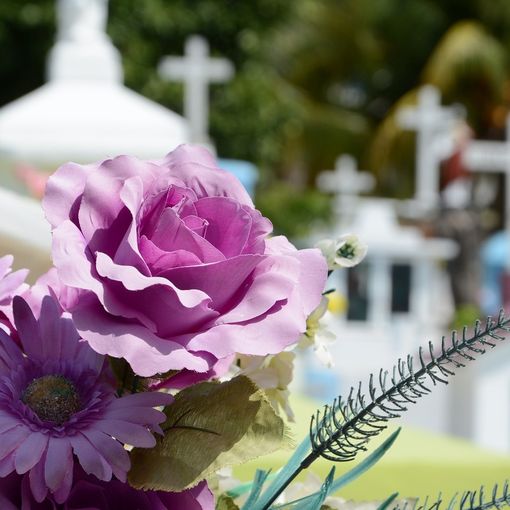 Boom di denunce di furto ai cimiteri di Busto: «Stiamo cercando soluzioni»