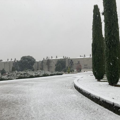 Nel match tra neve e pioggia a Busto, finora vince la seconda. FOTO