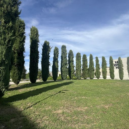 Il cimitero di Busto