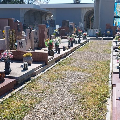 «Troppa incuria al cimitero di Olgiate. L’amministrazione si impegni a risolvere il problema»