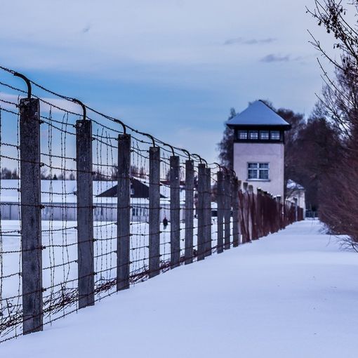 Giornata della Memoria, due pietre di inciampo in memoria di due solbiatesi deportati