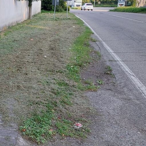 Sos verde: «A Olgiate accumuliamo sempre problemi quando basterebbe usare il buon senso»
