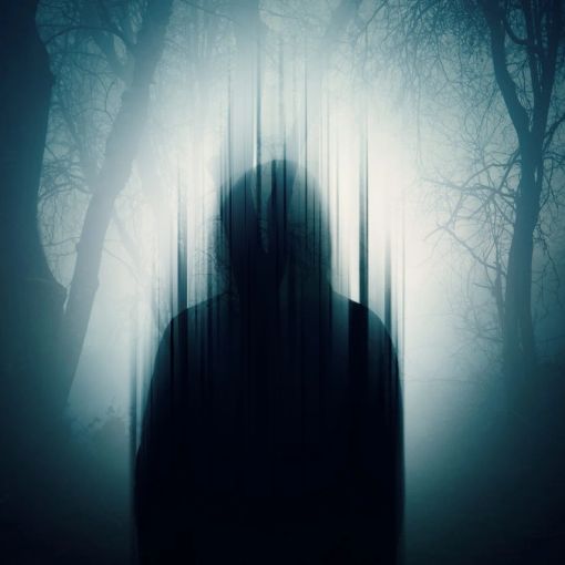 A Gorla Maggiore una figura misteriosa corre via nell’oscurità