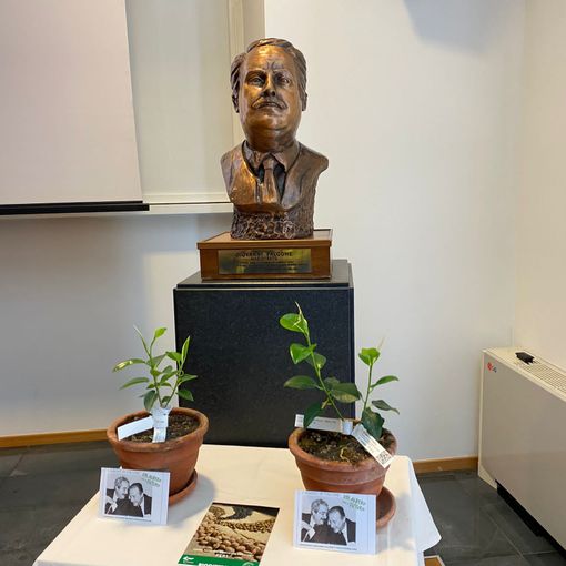 “Noi siamo Giovanni Falcone”. Due piante di Ficus a Gallarate per seminare legalità