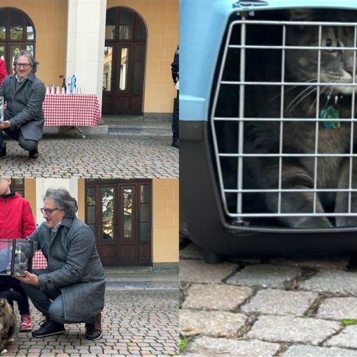 Festa del gatto a Olgiate, premiati i vincitori del concorso “Io e il mio gatto”