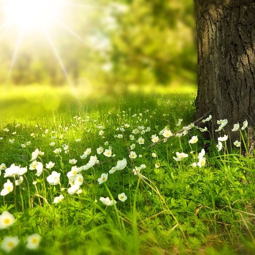 Inizia un weekend baciato dal sole e fioriscono gli appuntamenti