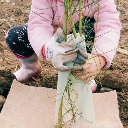 Riconoscere il valore degli alberi nella nostra vita: il progetto “Forestami”