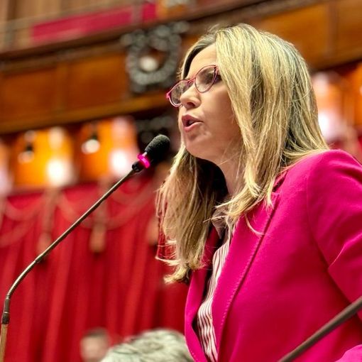Codice strada, Gadda: «Il no del governo al fondo per strisce blu disabili è un errore»