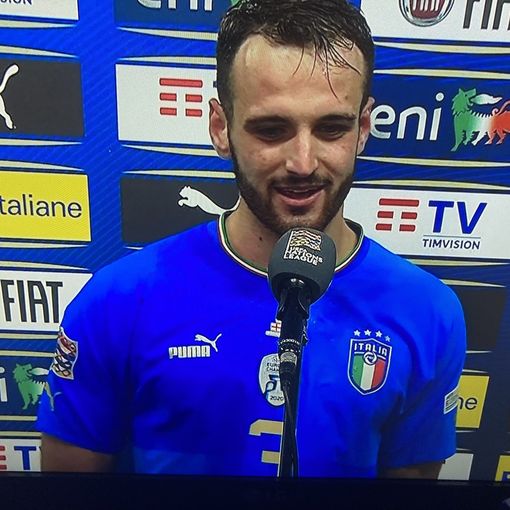foto di archivio - Gatti con la maglia nazionale