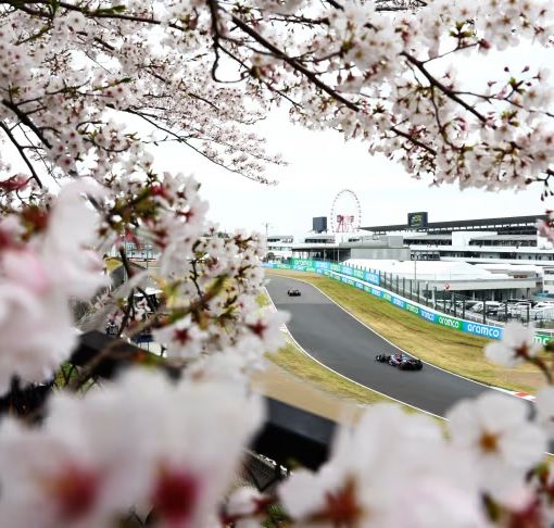 (Foto ufficiale F1)